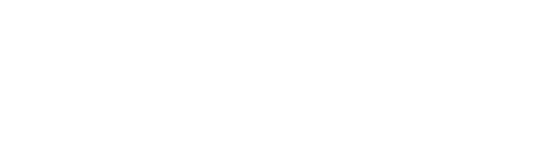 Bambu LZC