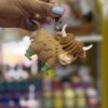 HOLDER TORITO